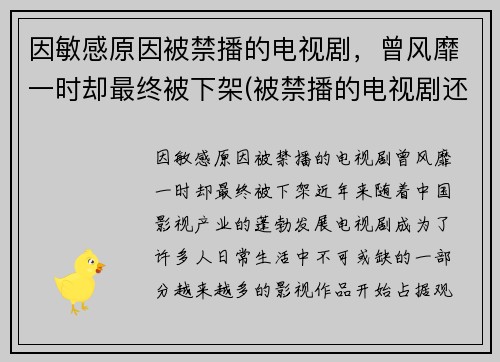 因敏感原因被禁播的电视剧，曾风靡一时却最终被下架(被禁播的电视剧还有版权吗)